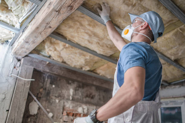 Types of Insulation We Offer in Apple Valley, CA